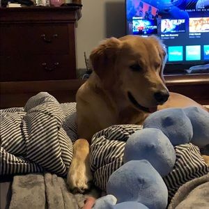 Meet your Posher, Jaclyn